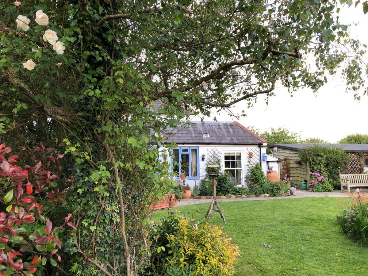 Cosy Cottage Ground Floor Bedroom Ensuite With Private Entrance Chichester Exterior photo